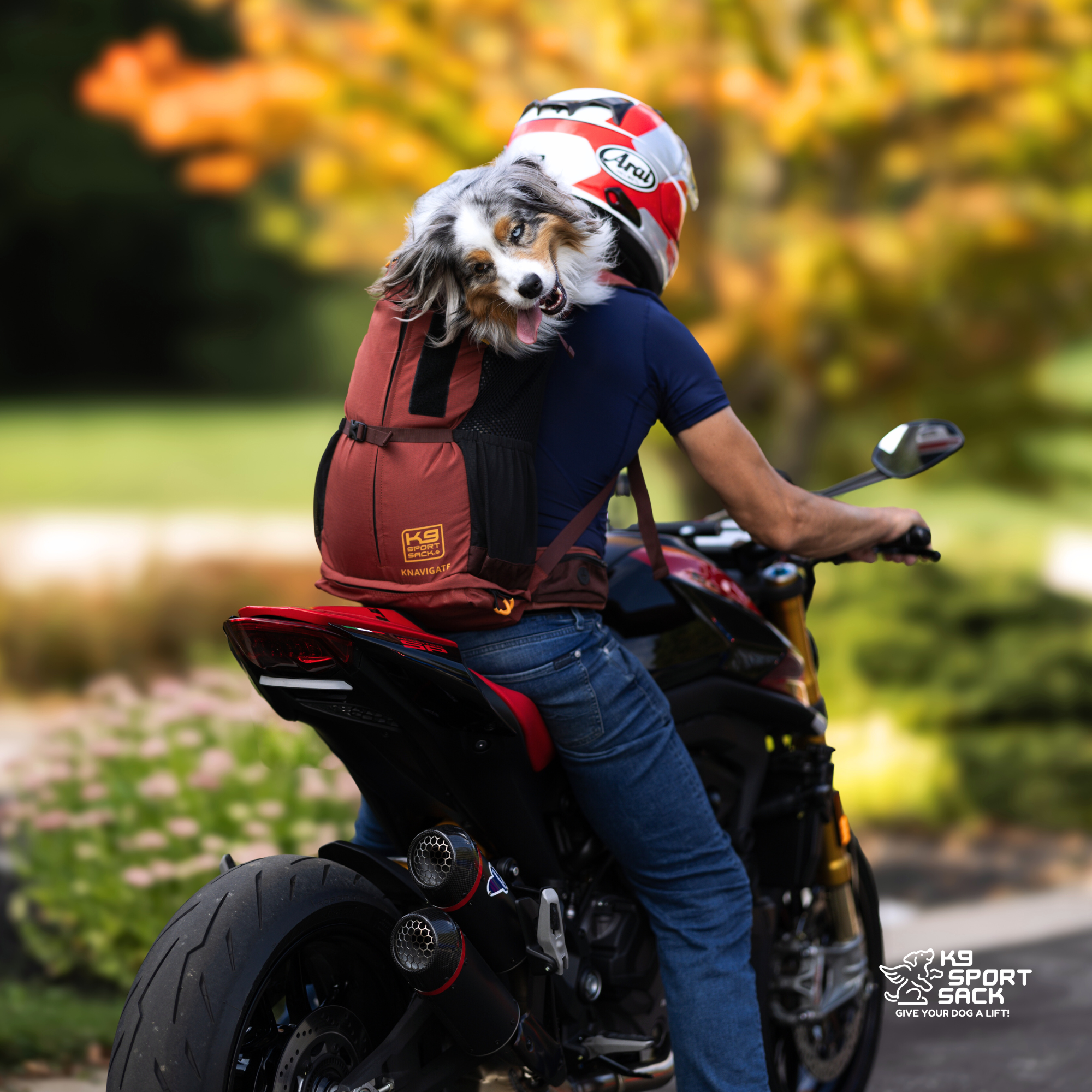 Advanced Dog Carrier Backpack for dogs up to 50 lbs | Knavigate