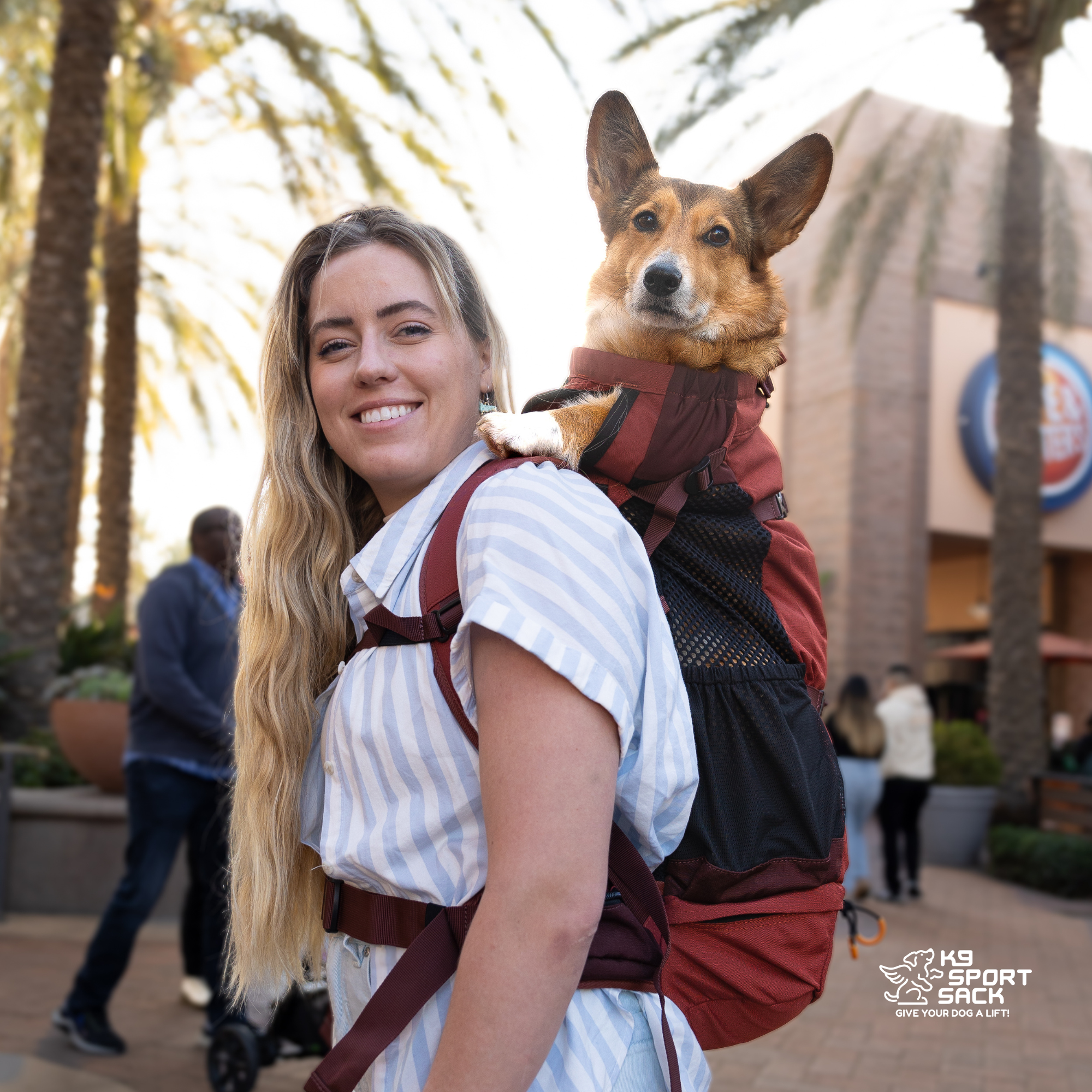 Advanced Dog Carrier Backpack for dogs up to 50 lbs | Knavigate