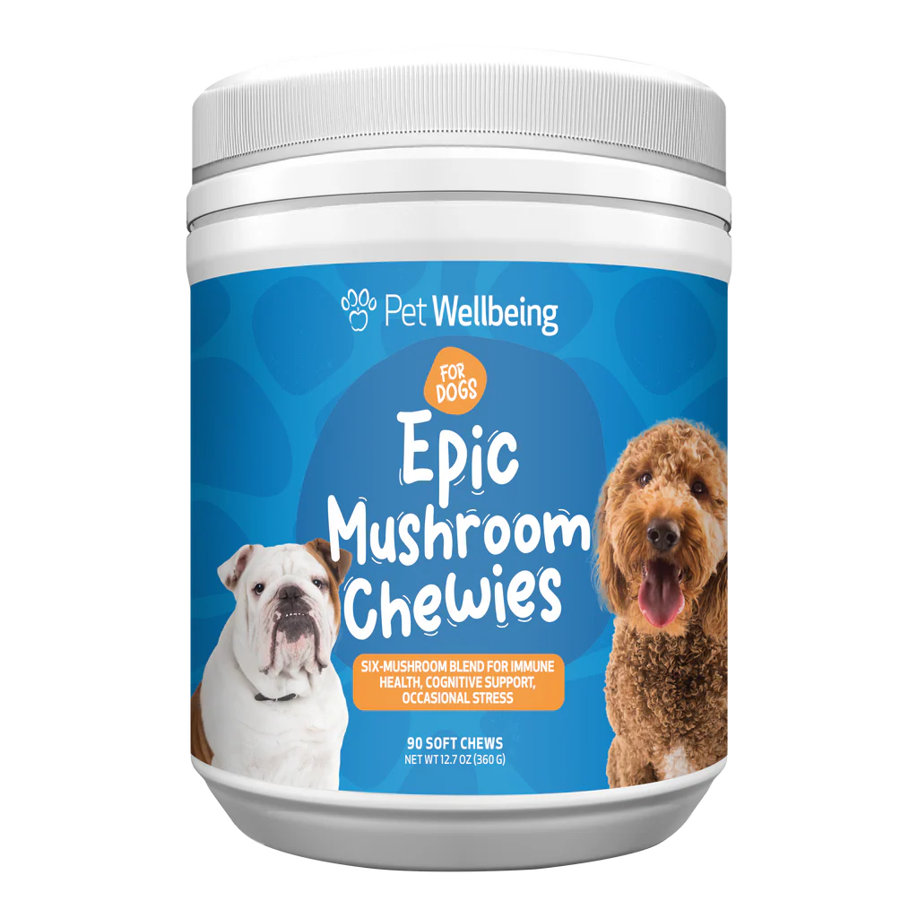 Cognitive Support for Senior Dogs | Epic Mushrooms Chewies Pet Wellbeing