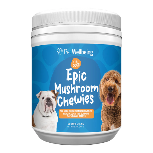 Cognitive Support for Senior Dogs | Epic Mushrooms Chewies Pet Wellbeing