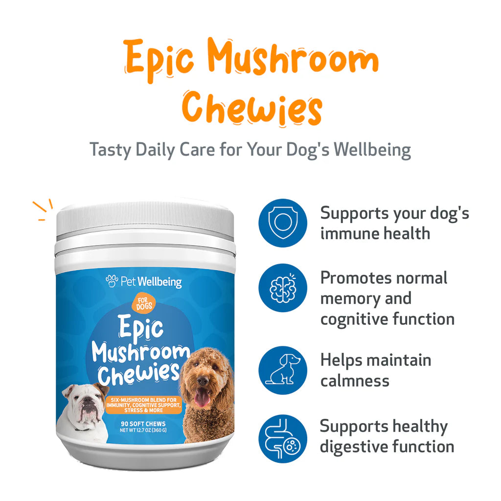 Cognitive Support for Senior Dogs | Epic Mushrooms Chewies Pet Wellbeing