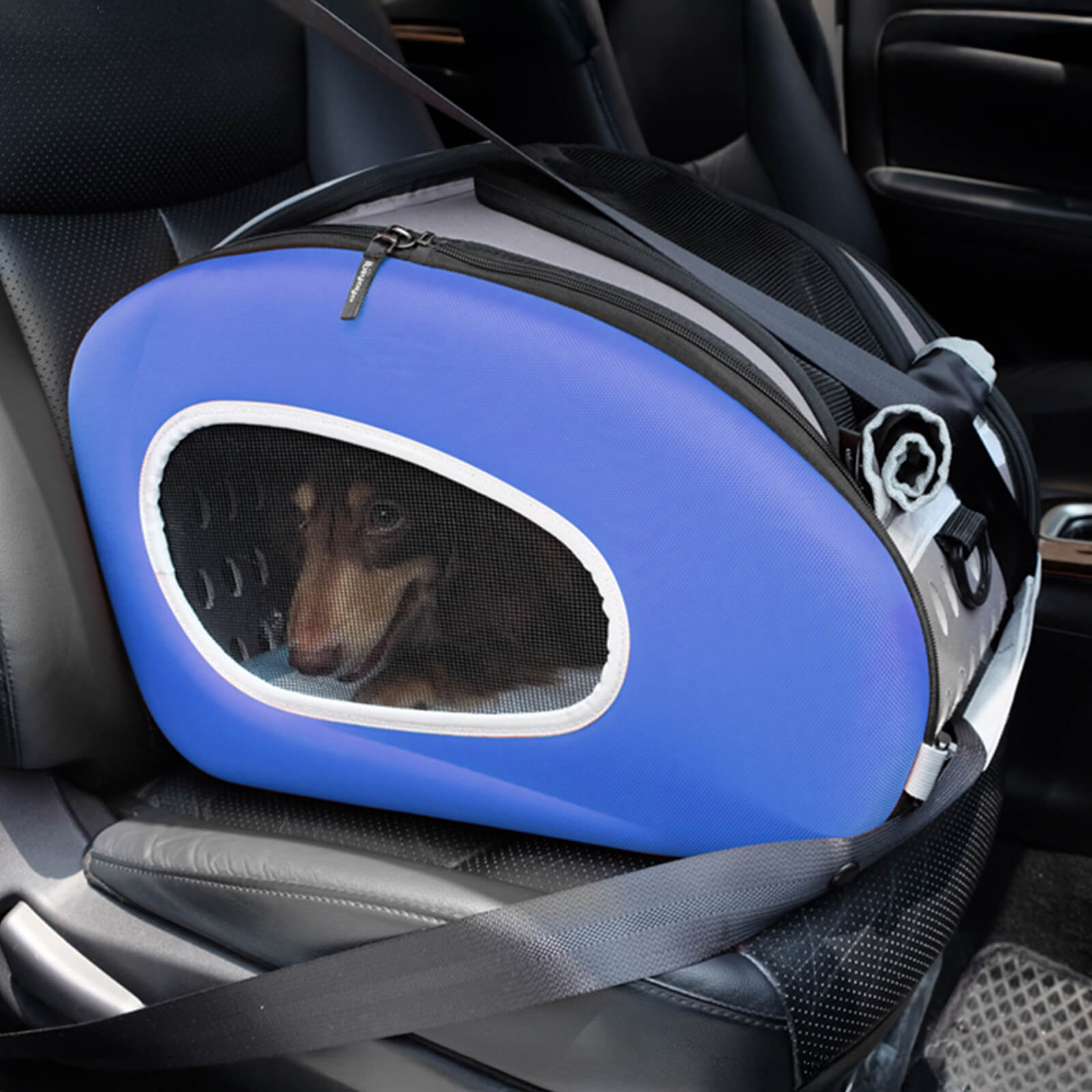 Blue pet carrier with a dog inside, placed on a car seat.