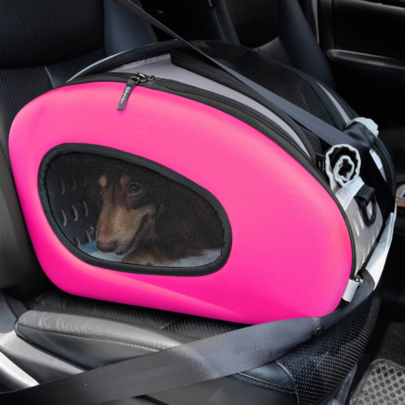Dog Travel Carrier