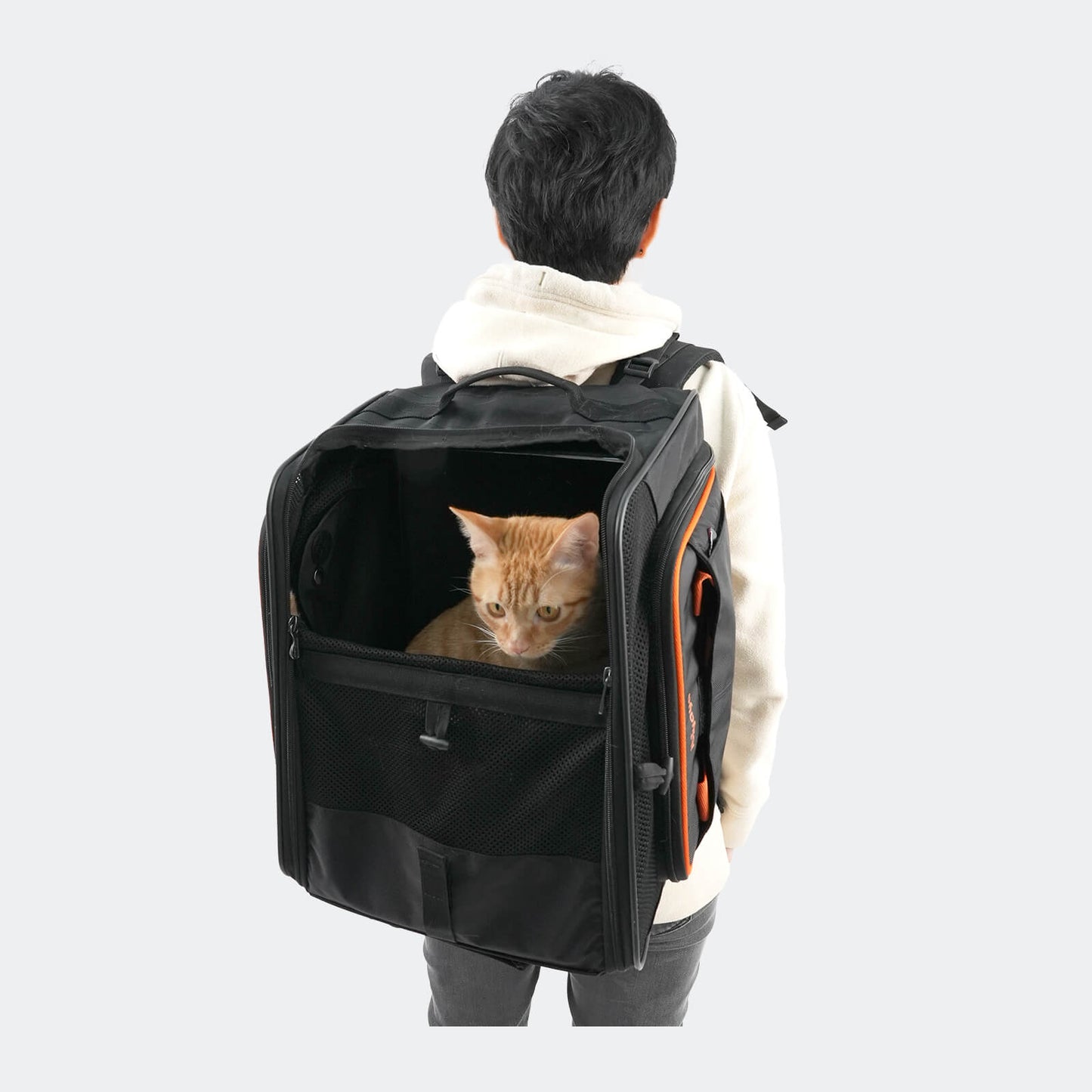Airline Approved Pet Stroller