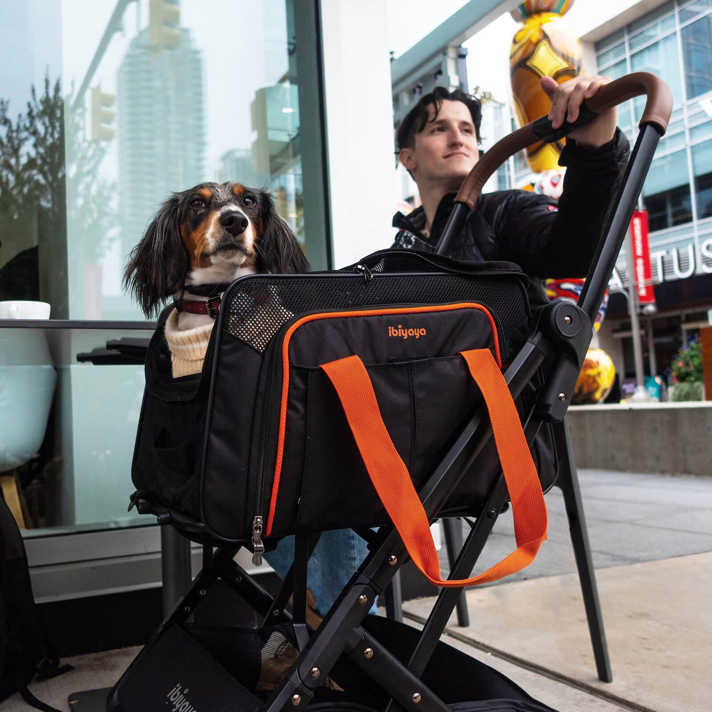 Airline Approved Pet Stroller