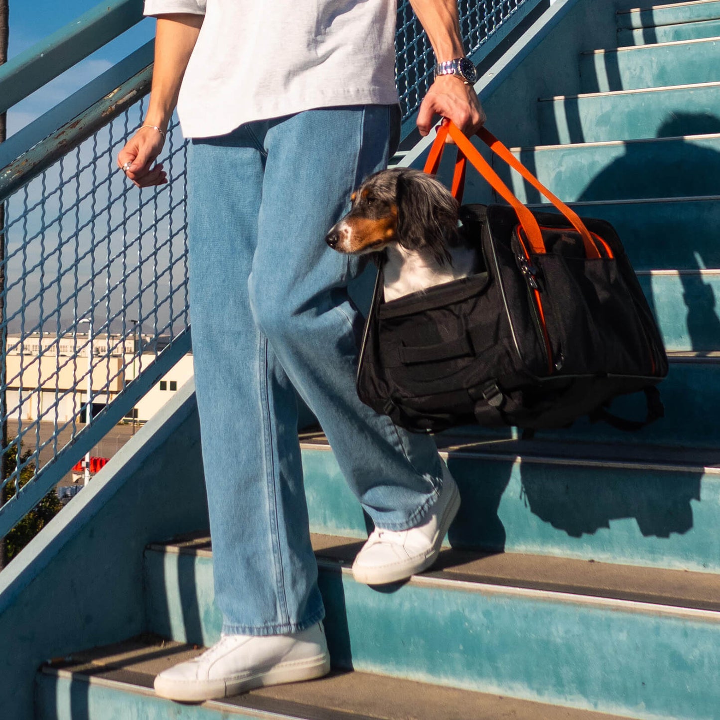 Airline Approved Pet Stroller