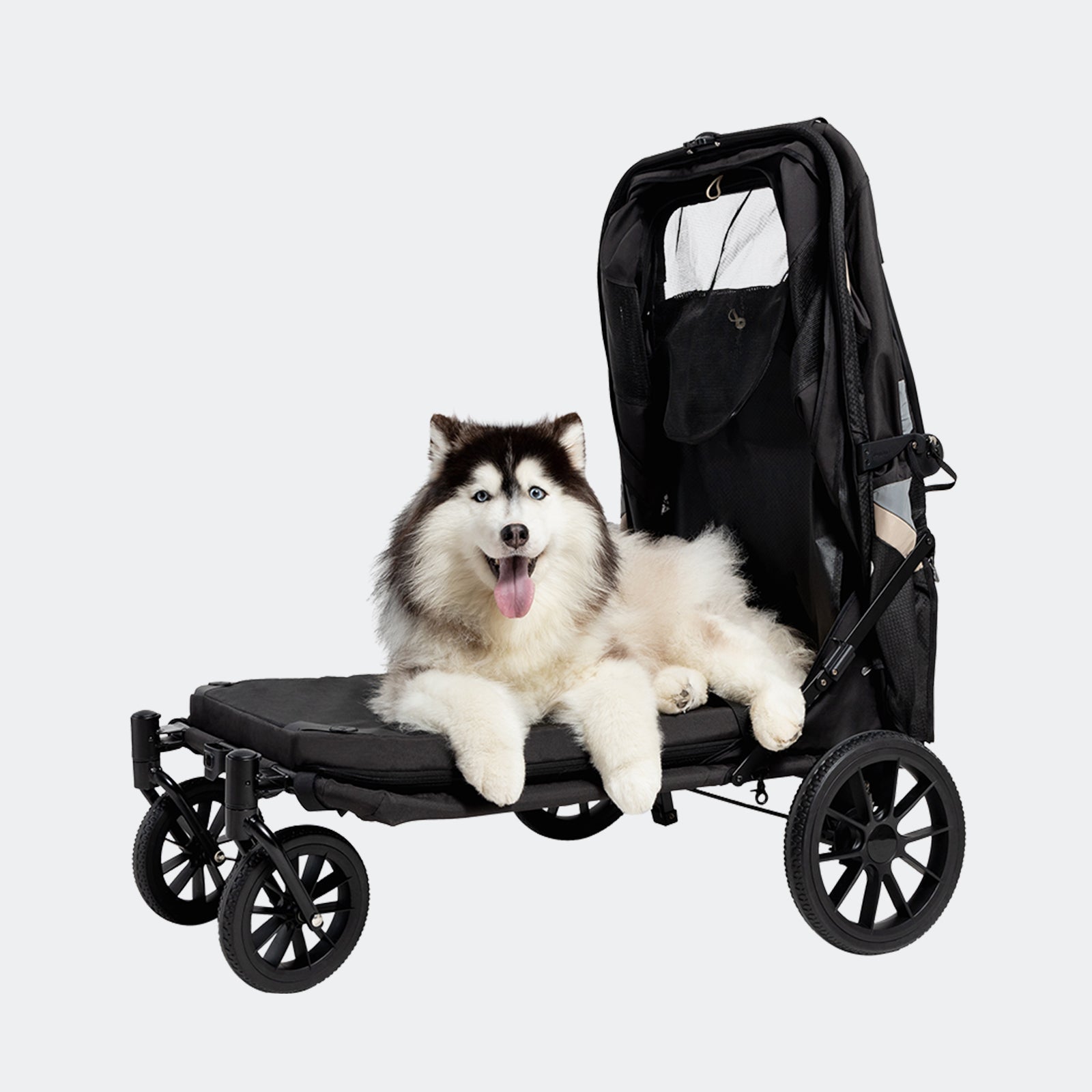 Grand Cruiser Large Dog Stroller For Senior & Injured Pets