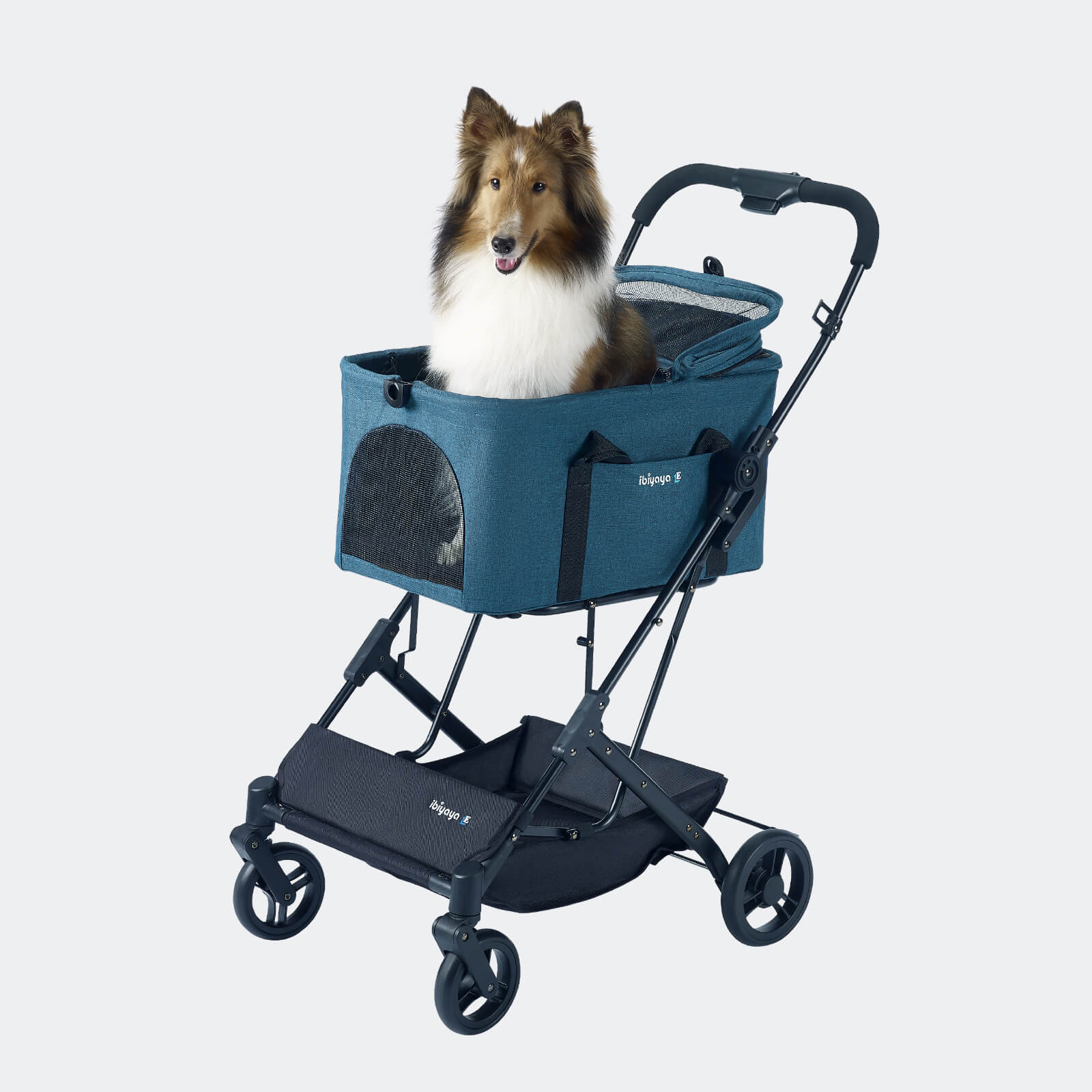 Dog in a blue pet stroller on a light gray background