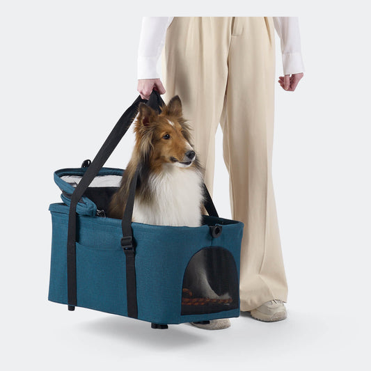 Dog in a blue pet carrier held by a person on a white background