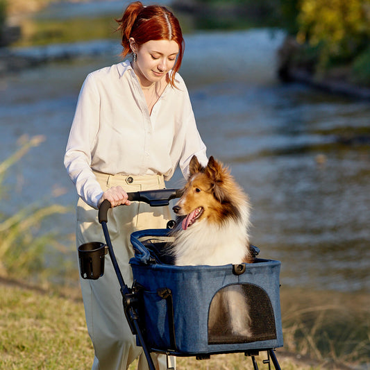 Woman pushing a dog in a stroller by a river