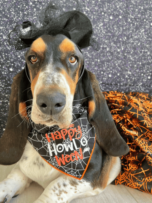 Happy Howl-o-ween Dog Bandana