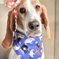 Halloween Dog Bandana - Ghosts