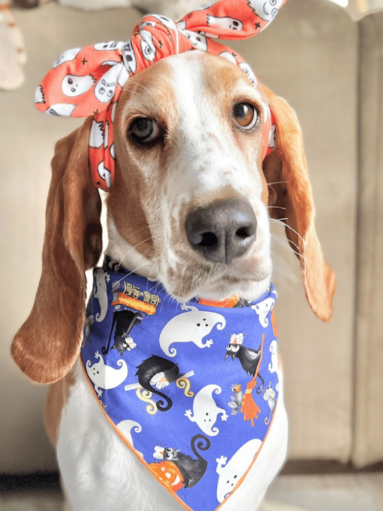 Halloween Dog Bandana - Ghosts