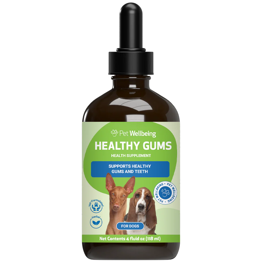 Healthy Gums Dental Care for Senior Dogs | Pet Wellbeing