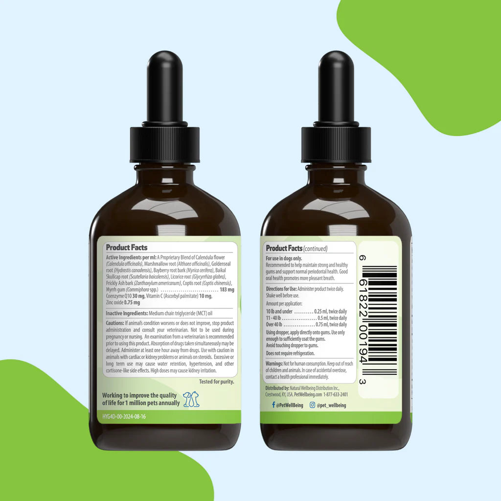 Healthy Gums Dental Care for Senior Dogs | Pet Wellbeing