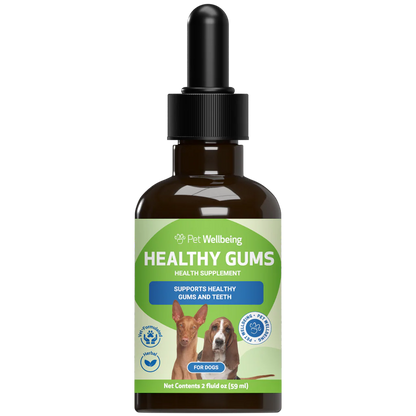 Healthy Gums Dental Care for Senior Dogs | Pet Wellbeing