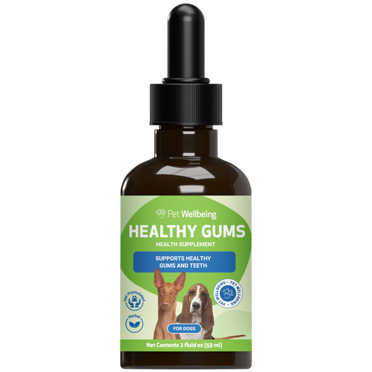 Healthy Gums Dental Care for Senior Dogs | Pet Wellbeing