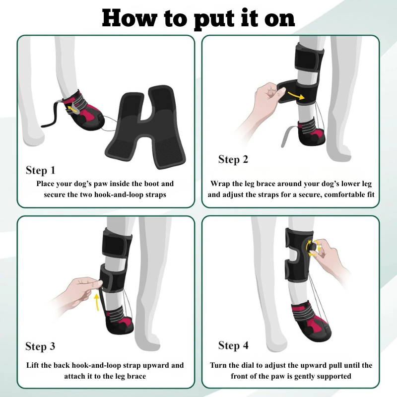 No-Knuckling Boot Brace for Dogs