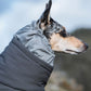 Dog Snowsuit | Hurtta Extreme Overall