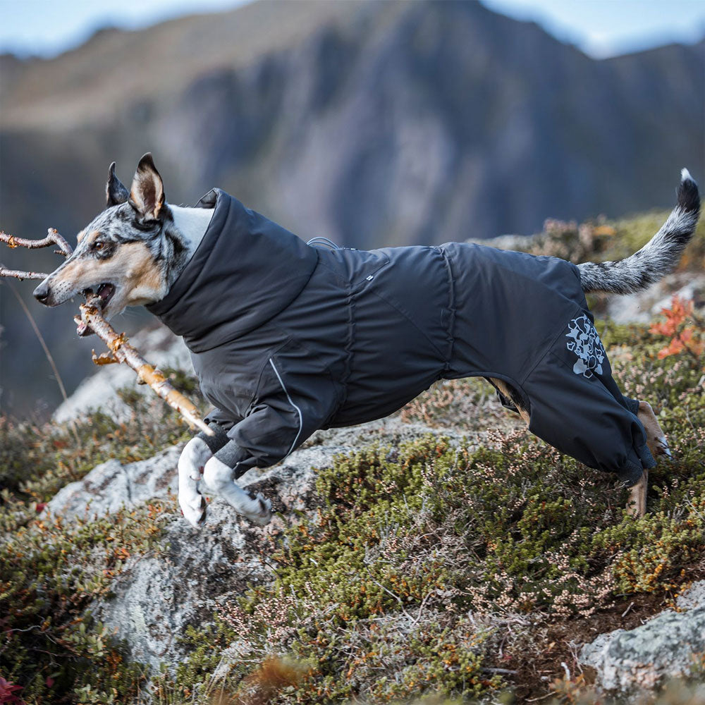 Dog Snowsuit | Hurtta Extreme Overall