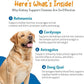 Kidney Disease Supplement for Dogs | Pet Wellbeing Kidney Support Gold