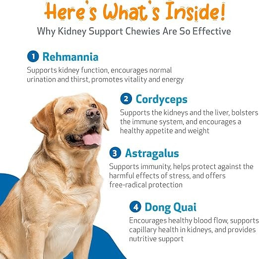 Kidney Disease Supplement for Dogs | Pet Wellbeing Kidney Support Gold
