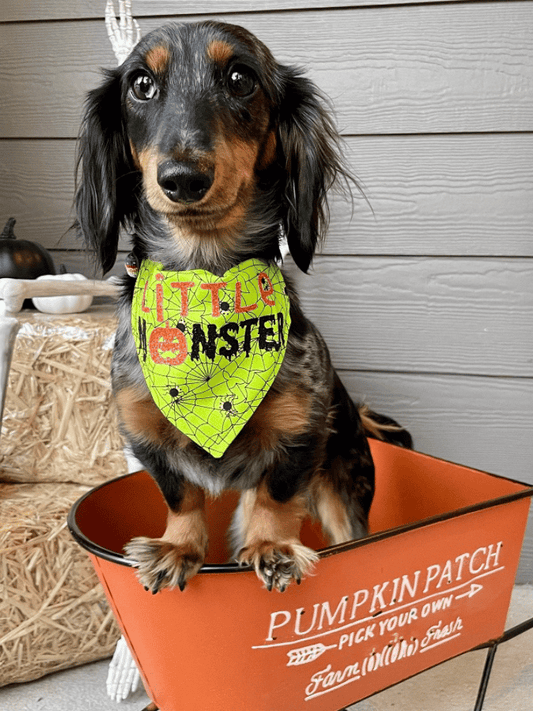 Halloween Dog Bandana - Little Monster