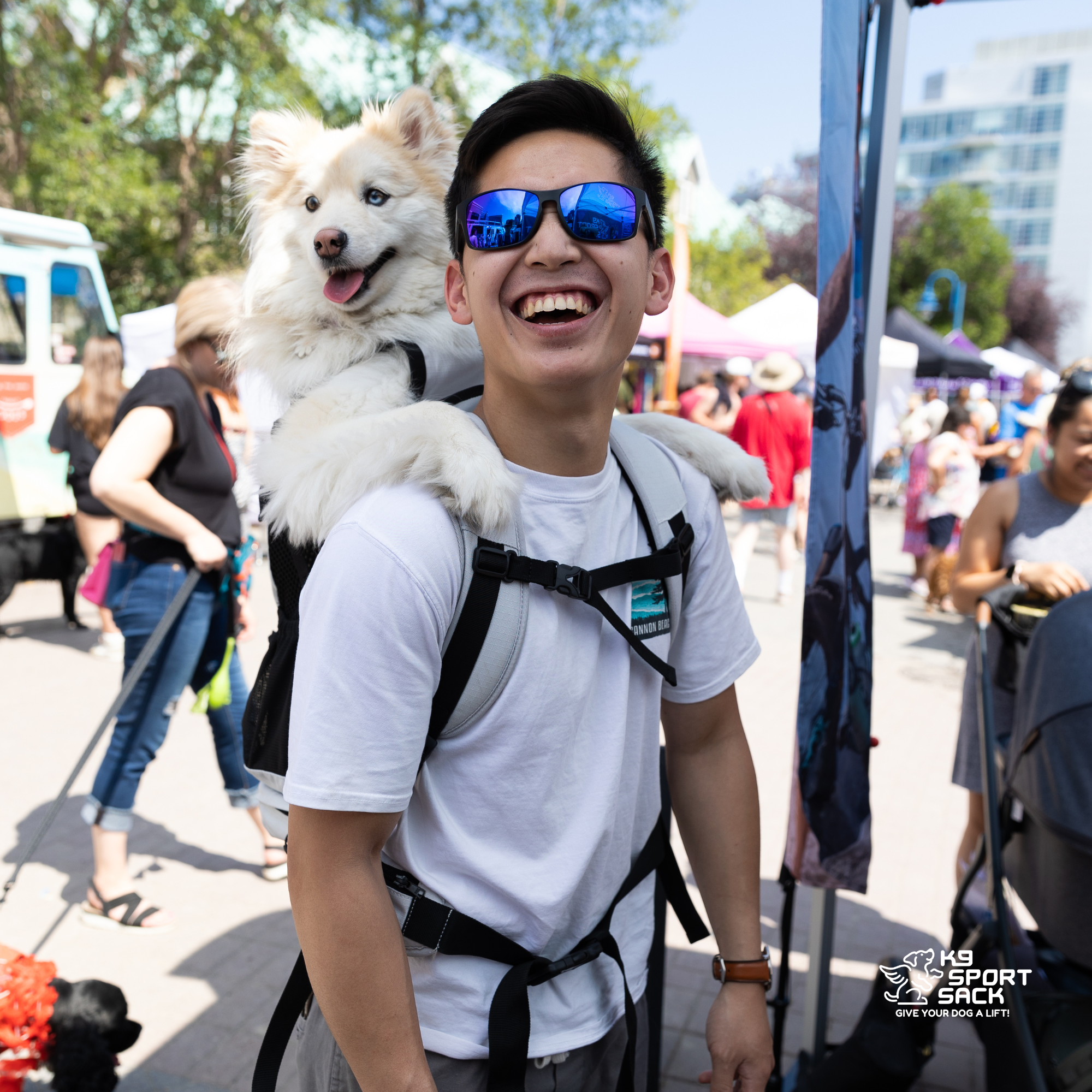 Advanced Dog Carrier Backpack for dogs up to 50 lbs | Knavigate
