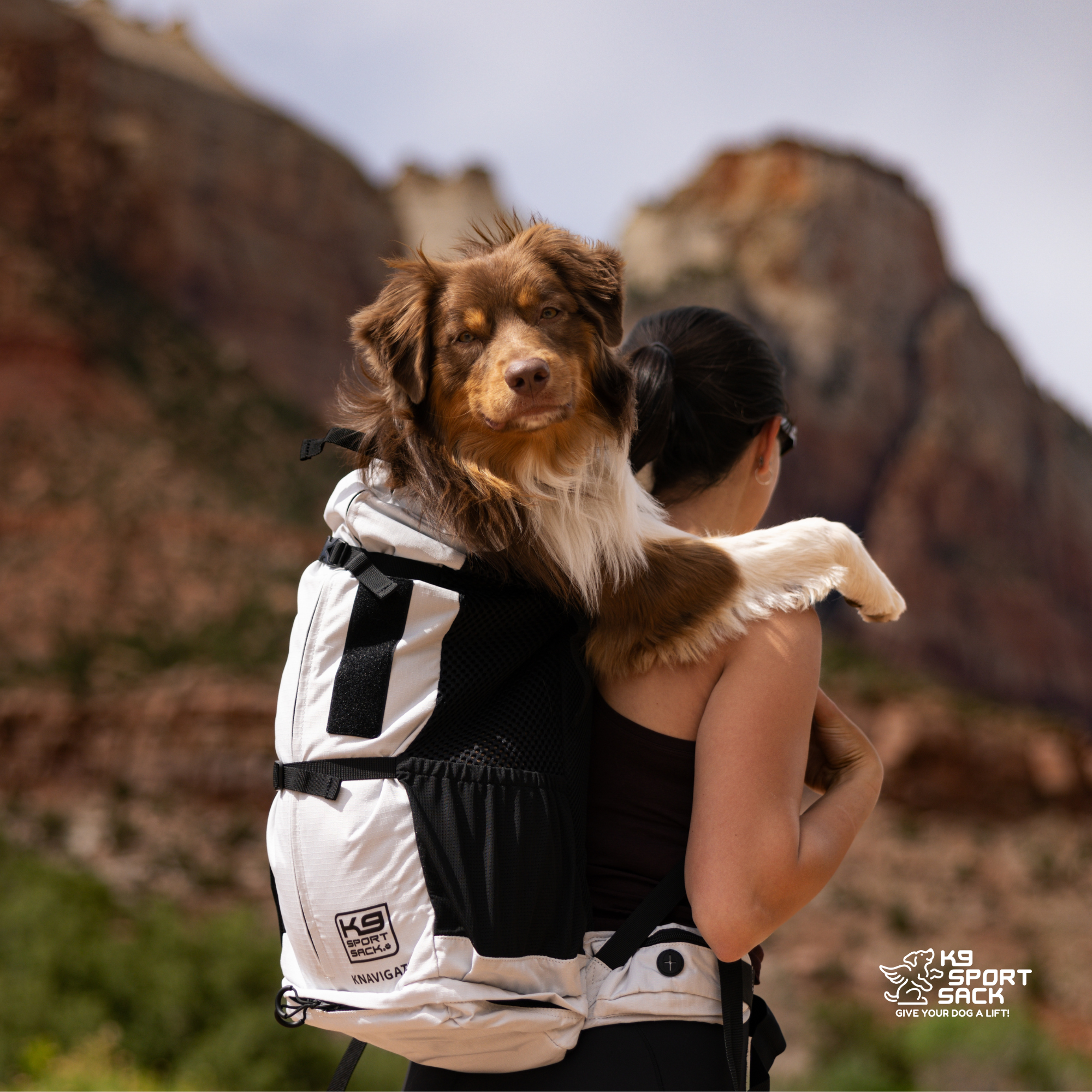 Advanced Dog Carrier Backpack for dogs up to 50 lbs | Knavigate
