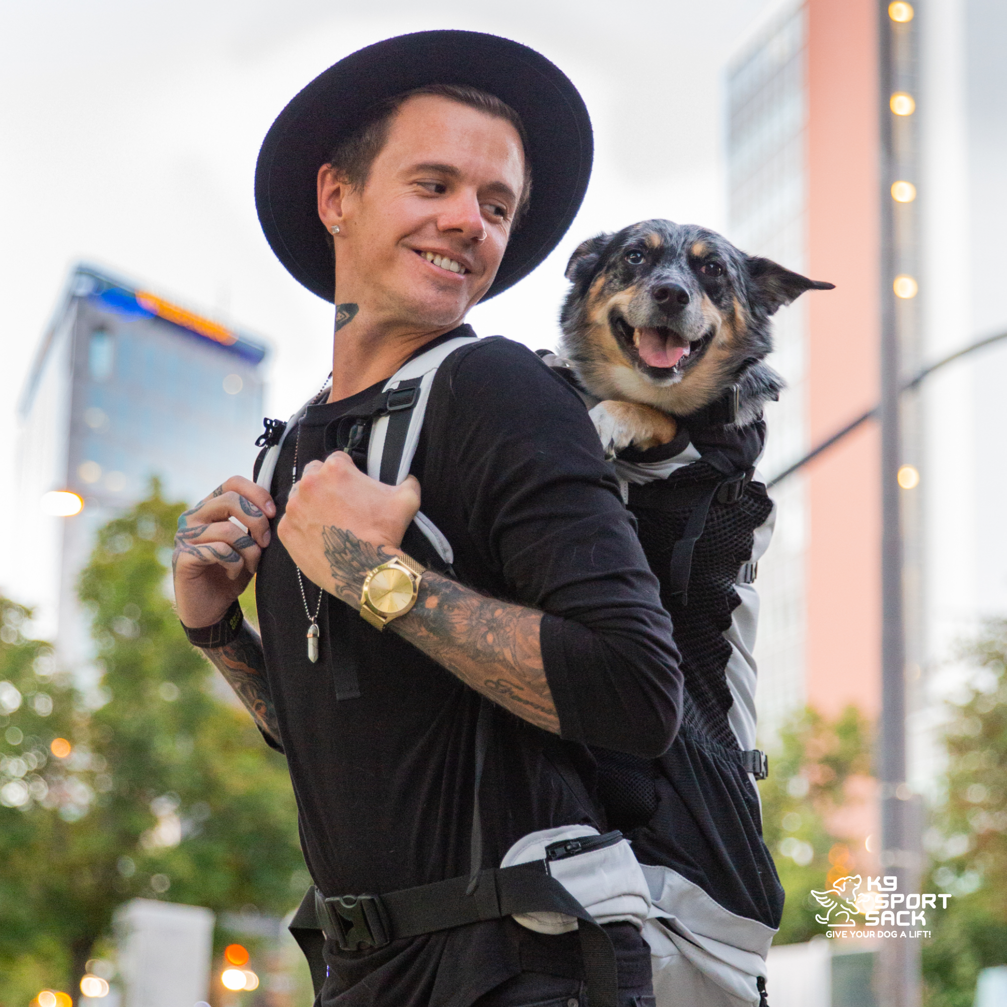 Advanced Dog Carrier Backpack for dogs up to 50 lbs | Knavigate