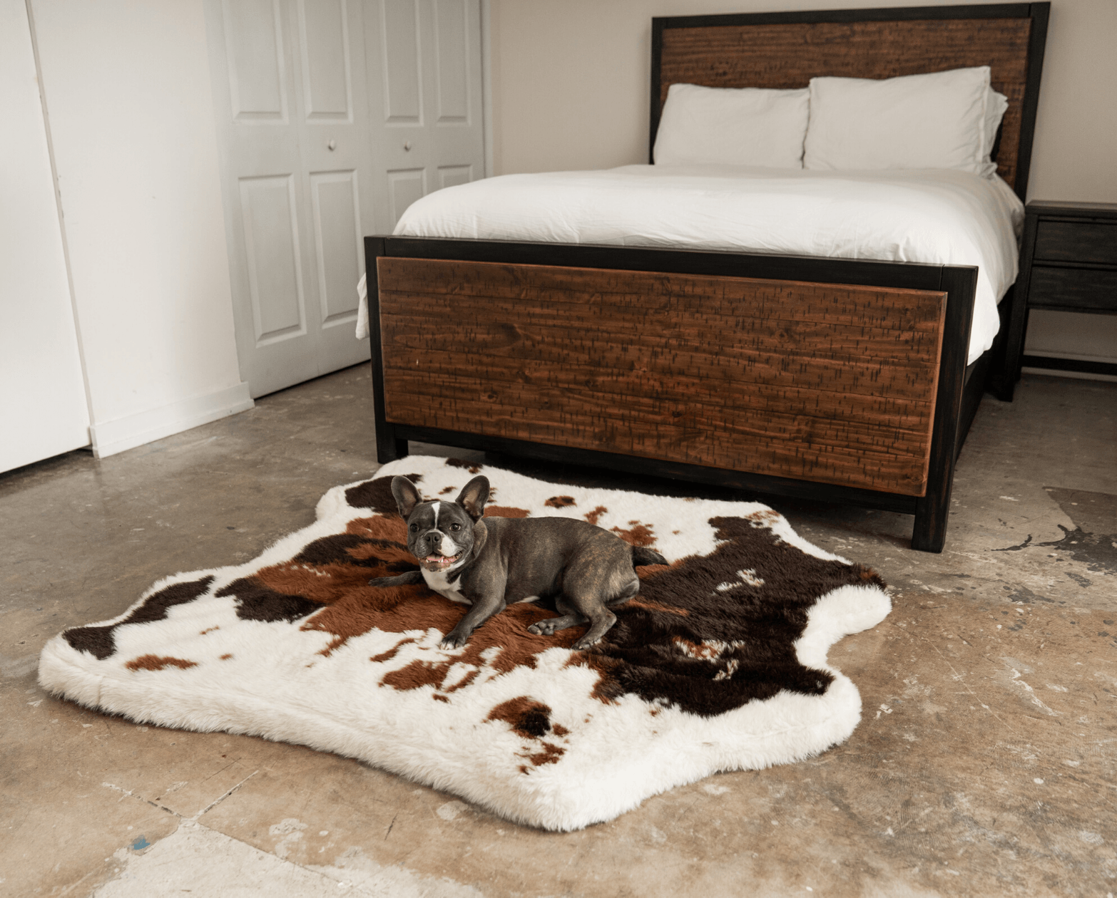 Dog lying on a cowhide rug in front of a wooden bed frame.