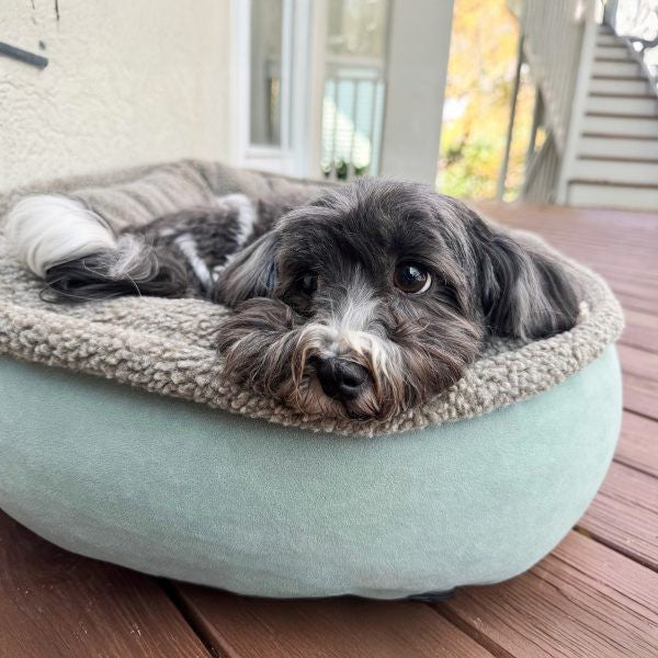 Microfiber & Tipped Berber Round Dog Bed