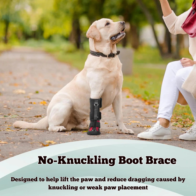No-Knuckling Boot Brace for Dogs