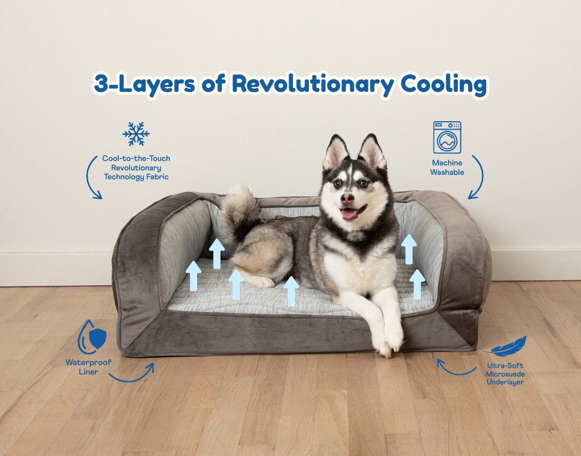 Dog lying on a gray pet bed with cooling features highlighted
