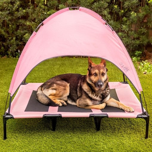 Elevated Dog Bed with Canopy