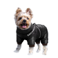 Dog Puffer Jacket