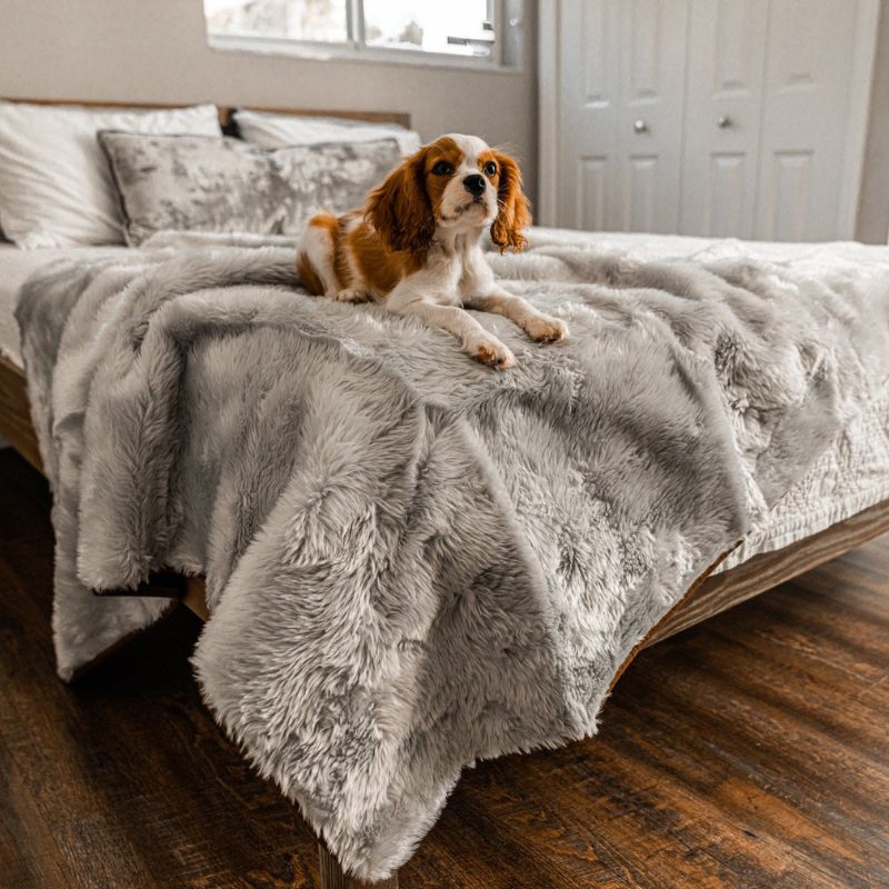 PupProtector™ Summer Short Fur Waterproof Throw Blanket - Grey
