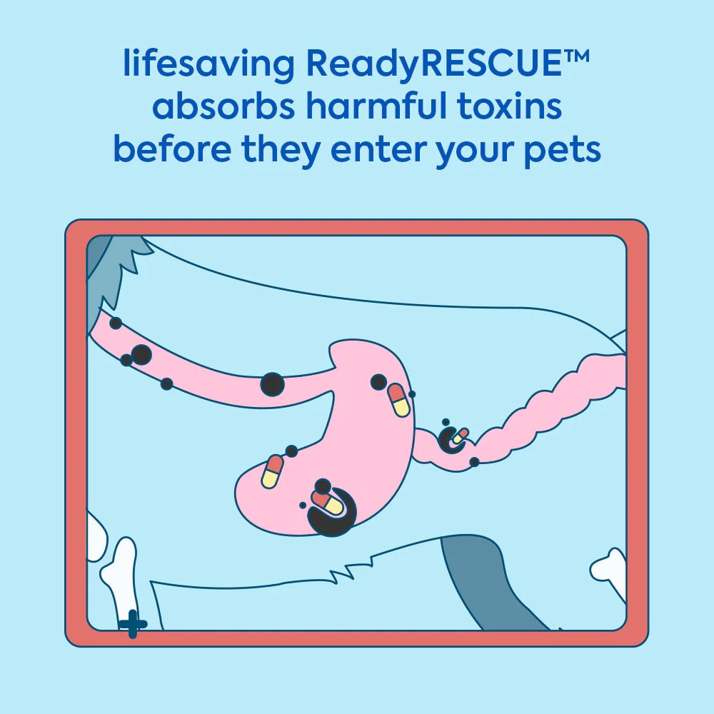 First Response Emergency Detoxifier for Dogs | ReadyRESCUE