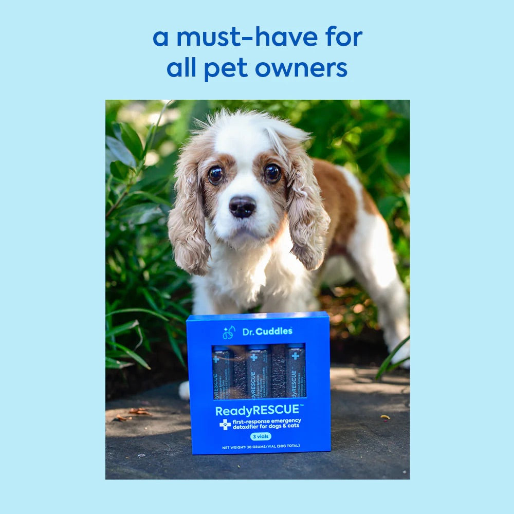 First Response Emergency Detoxifier for Dogs | ReadyRESCUE