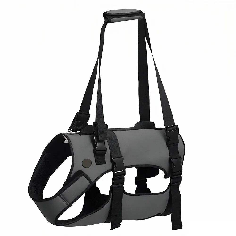 Gray dog harness with black straps on a white background