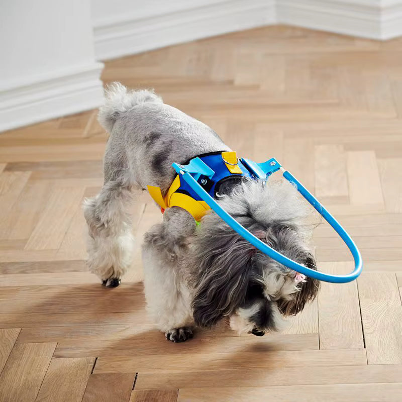 Dog Halo for Blind Dogs