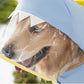 Large Dog Dinosaur Raincoat Full Cover Waterproof Protection