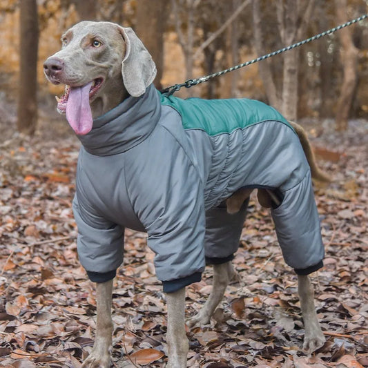 Big Dog Winter Coat