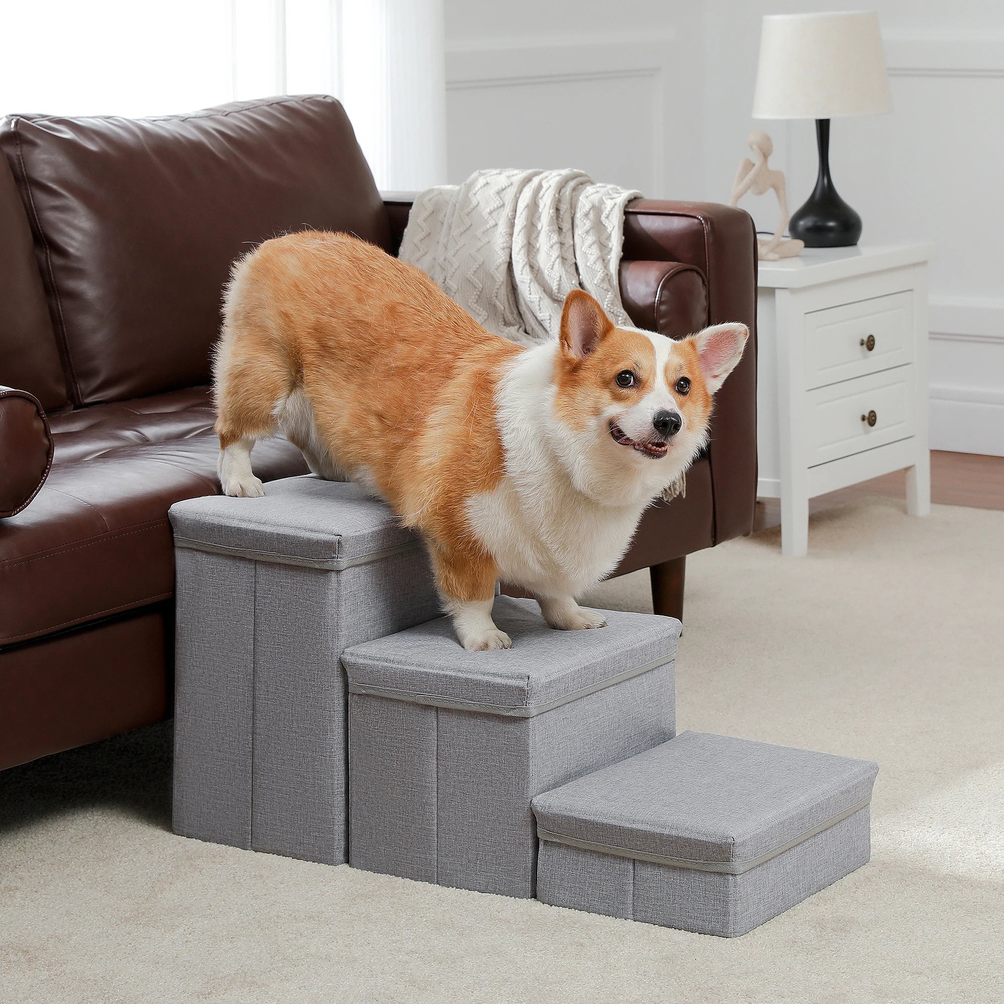 Foldable Dog Steps for Small Dogs