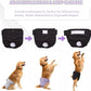 Reusable Female Dog Diapers