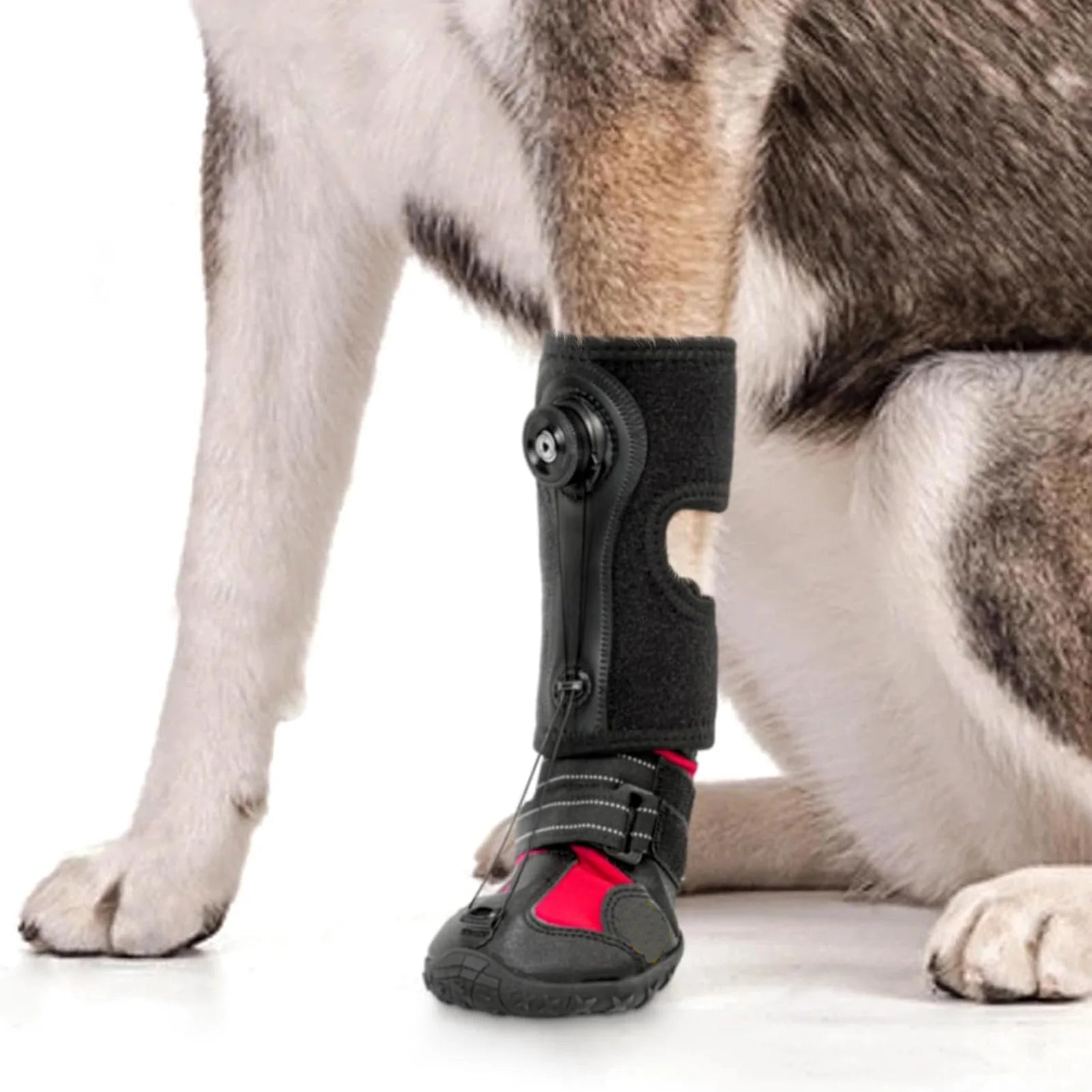 No-Knuckling Boot Brace for Dogs