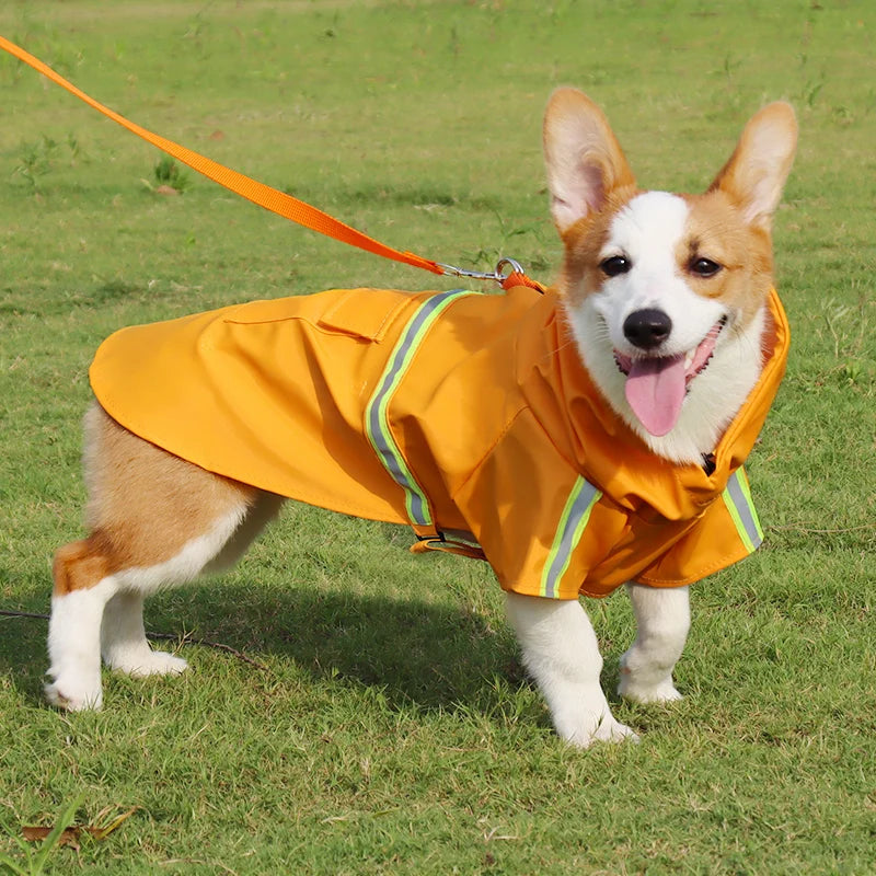 Waterproof Dog Raincoat with Reflective Trim