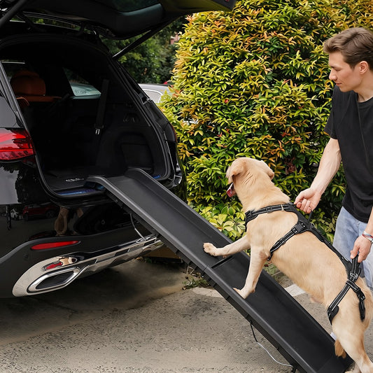A tan dog wearing a harness climbs a black plastic car ramp positioned between an open black SUV trunk and a man in a black shirt guiding the dog. The scene is set outdoors next to a green hedge.
