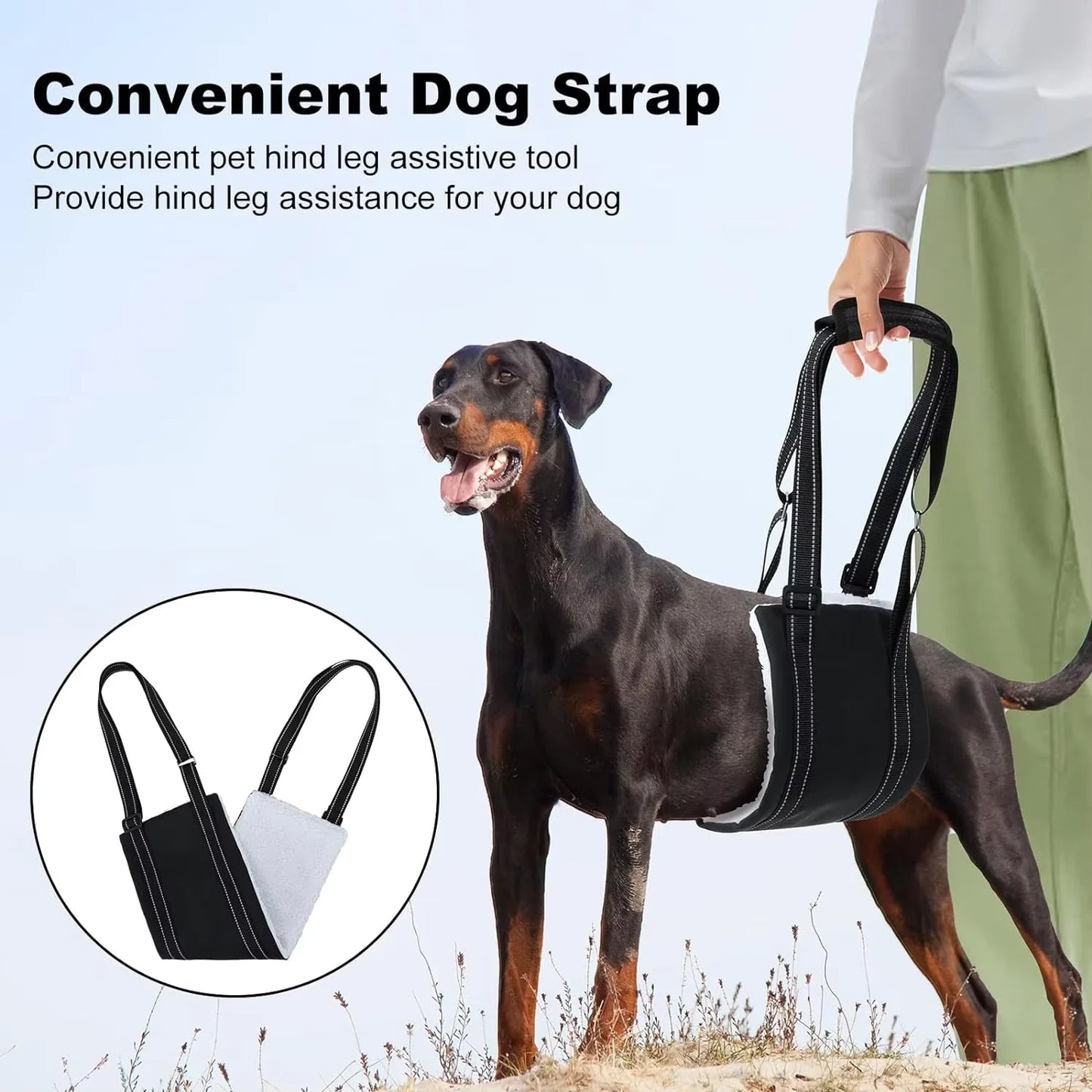 Padded Dog Sling for Back Legs support | All size dogs