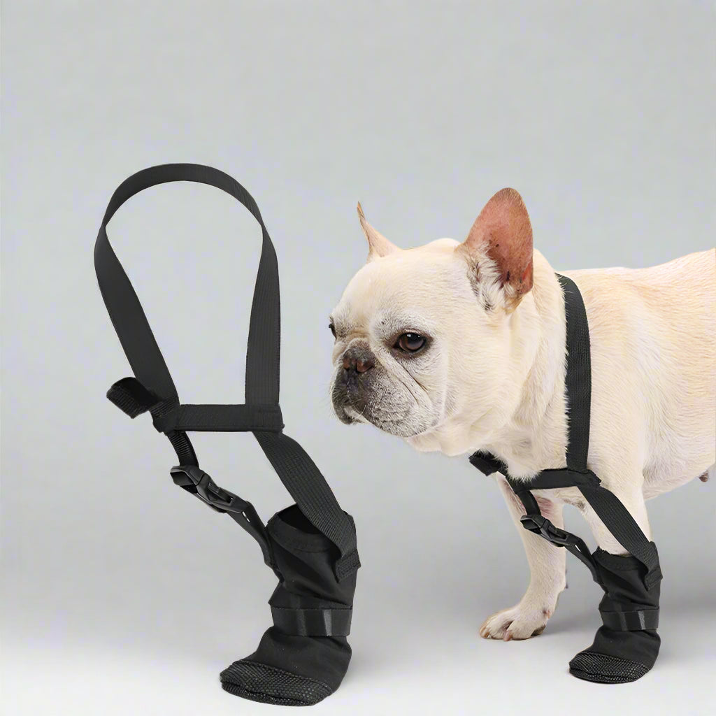 Dog Paw Protector Boot Water-Resistant Recovery Footwear for Post-Surgery Healing
